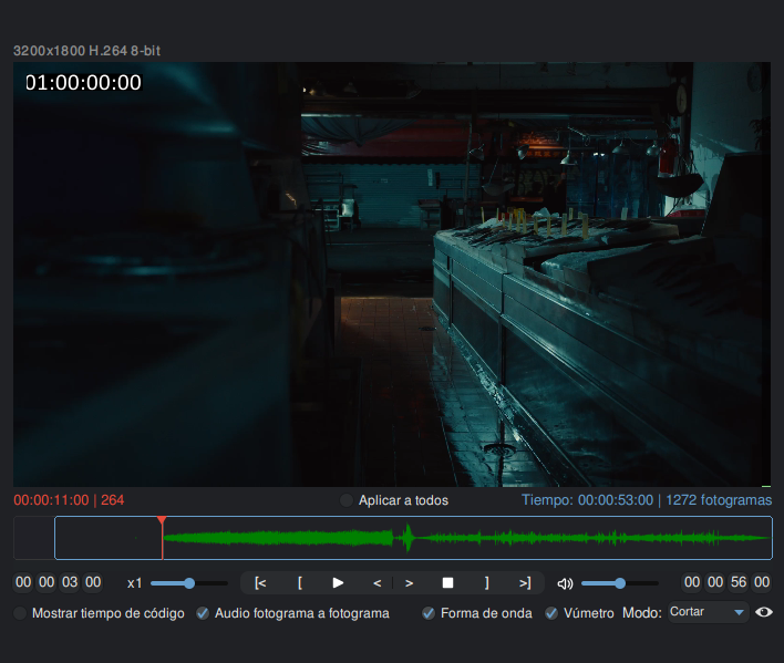Preview de Shutter Encoder mostrando el primer frame de imagen con el burn-in de timecode en 01:00:00:00 — verificación del FFOA antes de procesar